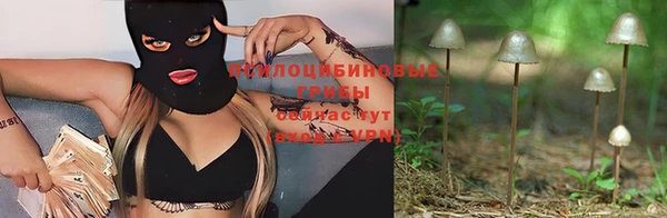 меф Алзамай