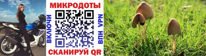 Галлюциногенные грибы GOLDEN TEACHER  Нефтекумск 